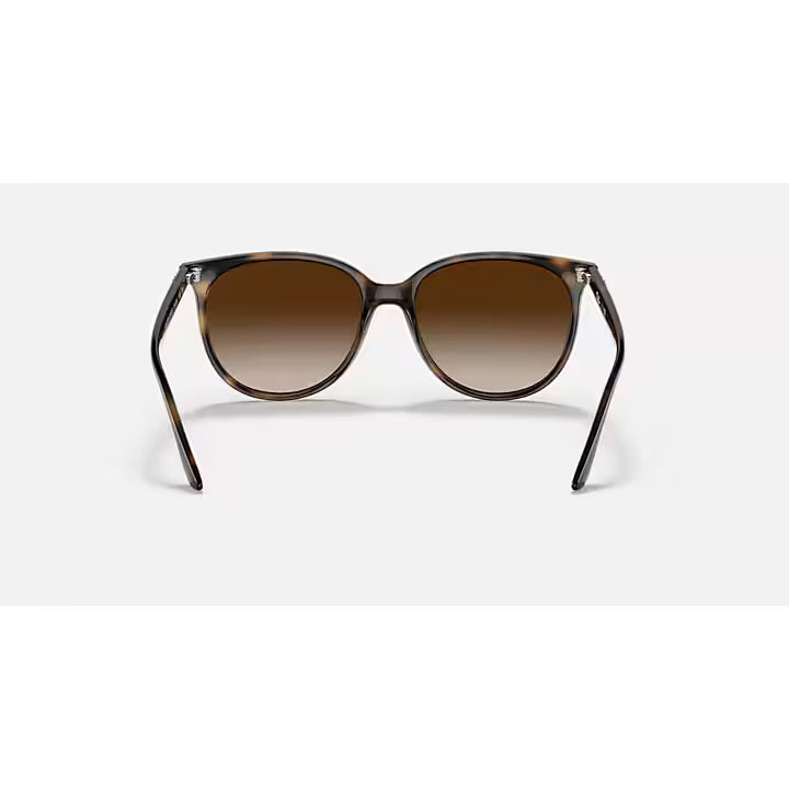 Ray-Ban Brown Havana Gradient Sunglasses RB4378-710