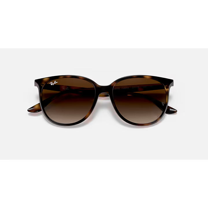 Ray-Ban Brown Havana Gradient Sunglasses RB4378-710