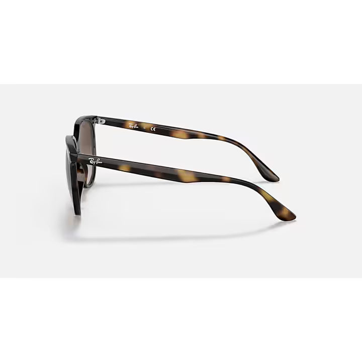 Ray-Ban Brown Havana Gradient Sunglasses RB4378-710
