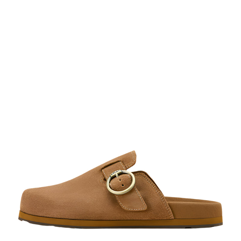 Women's Ariat Country Mule 10061236 - Crazy House Western Wear