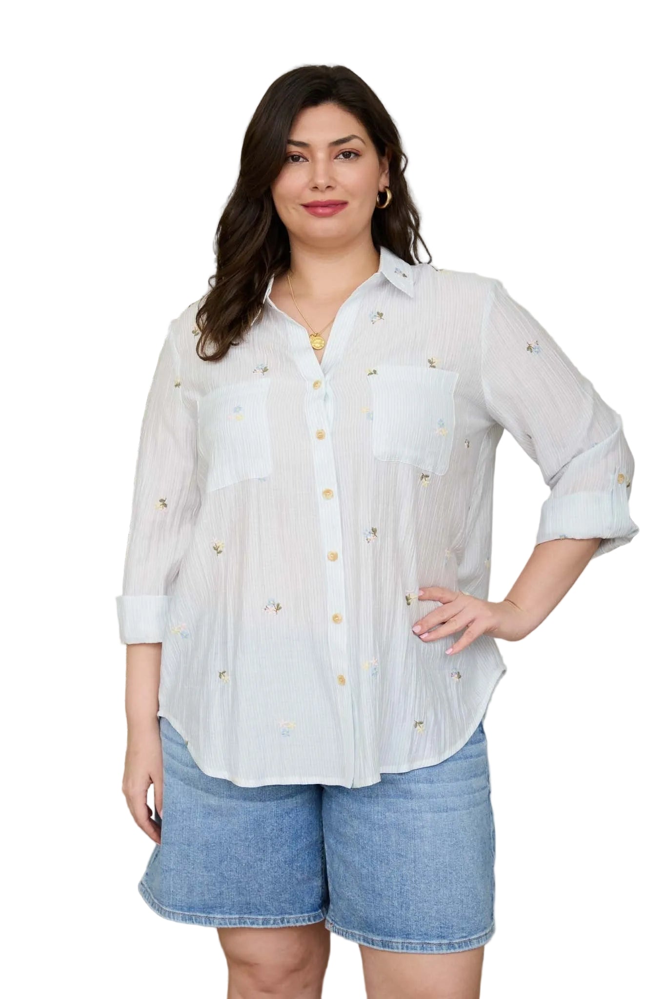 Women's Blu Pepper Light Blue Stripe Floral Embroidery Long Sleeve Top CR2784