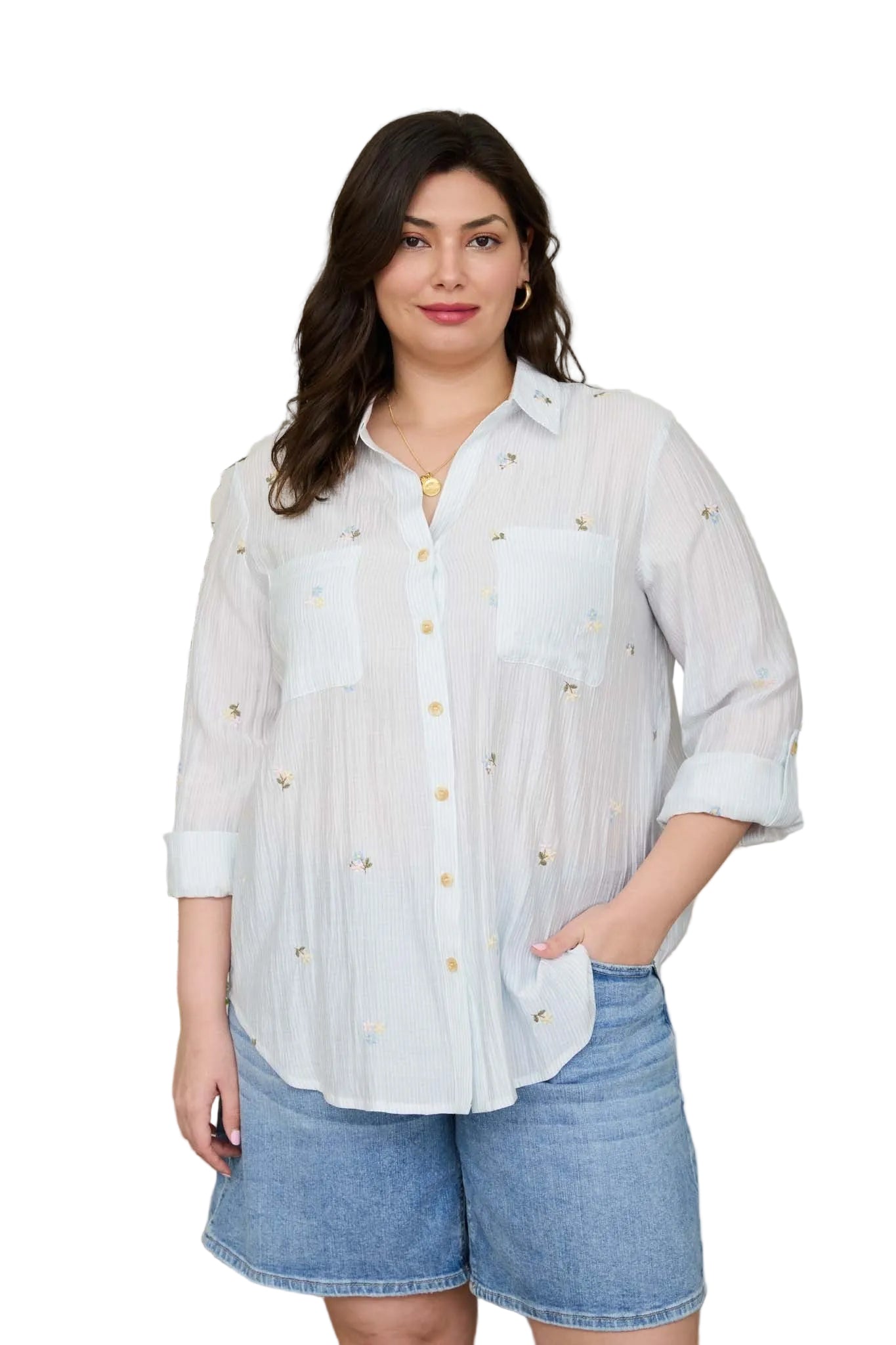 Women's Blu Pepper Light Blue Stripe Floral Embroidery Long Sleeve Top CR2784