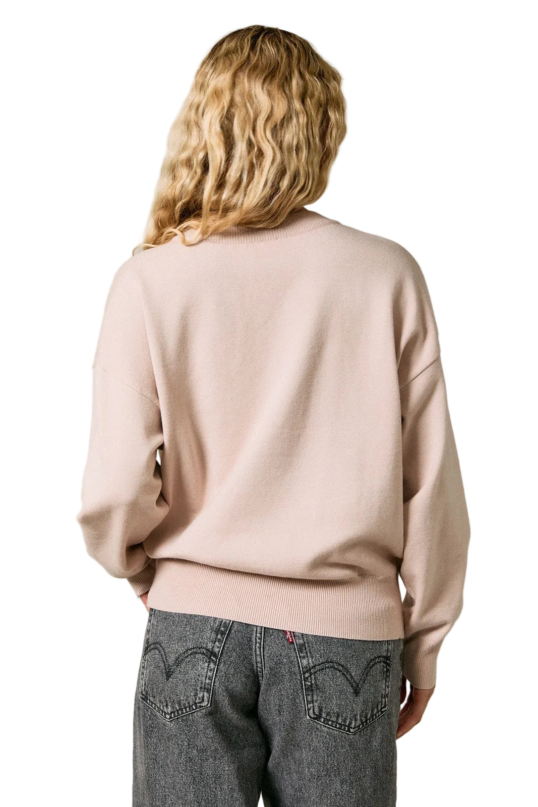 Women's Beige 'Schnauzer' Long Sleeve Crew Neck Sweater