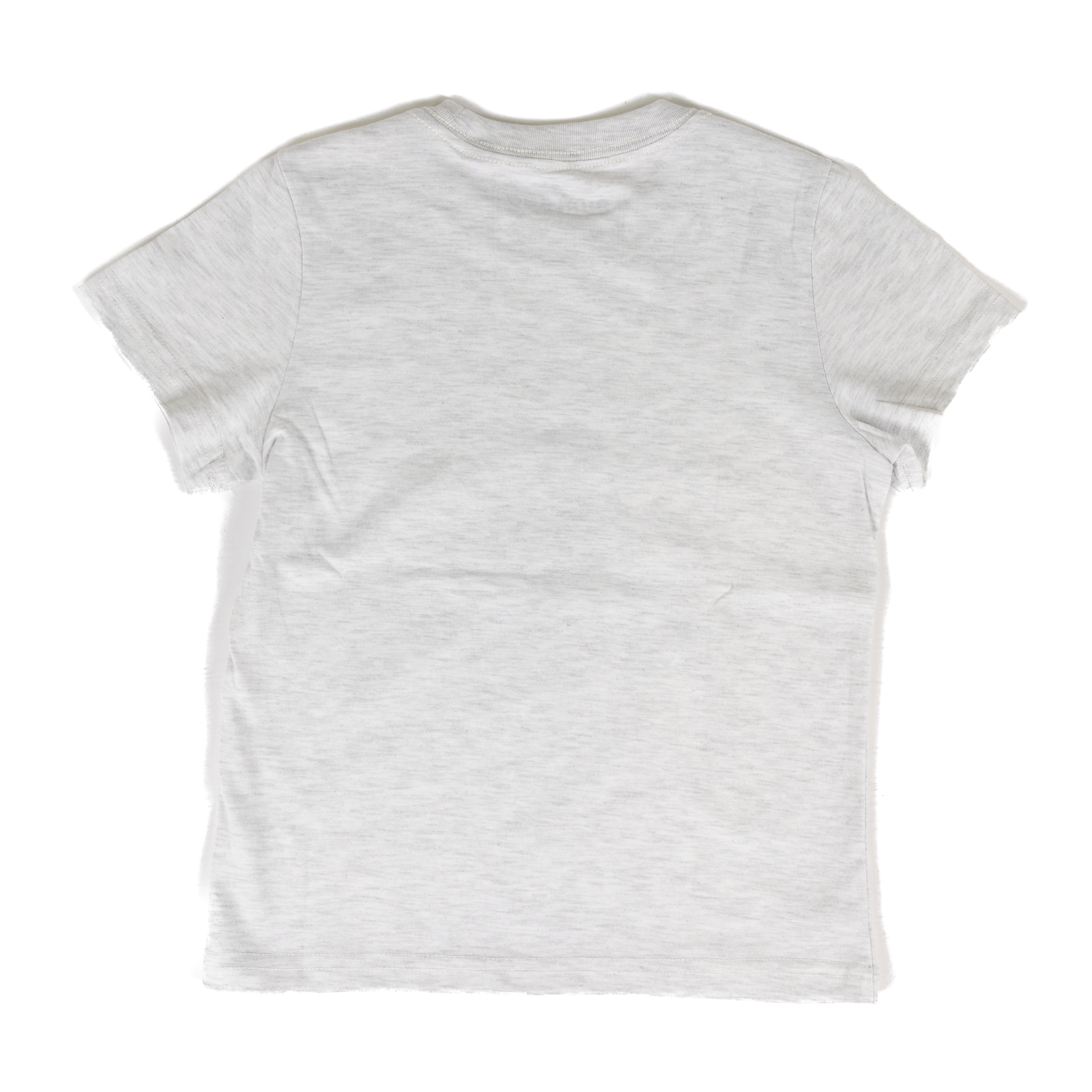 Men's Burlebo Ash Gray Fly Wild Short Sleeve Tee SST-FLW-AG