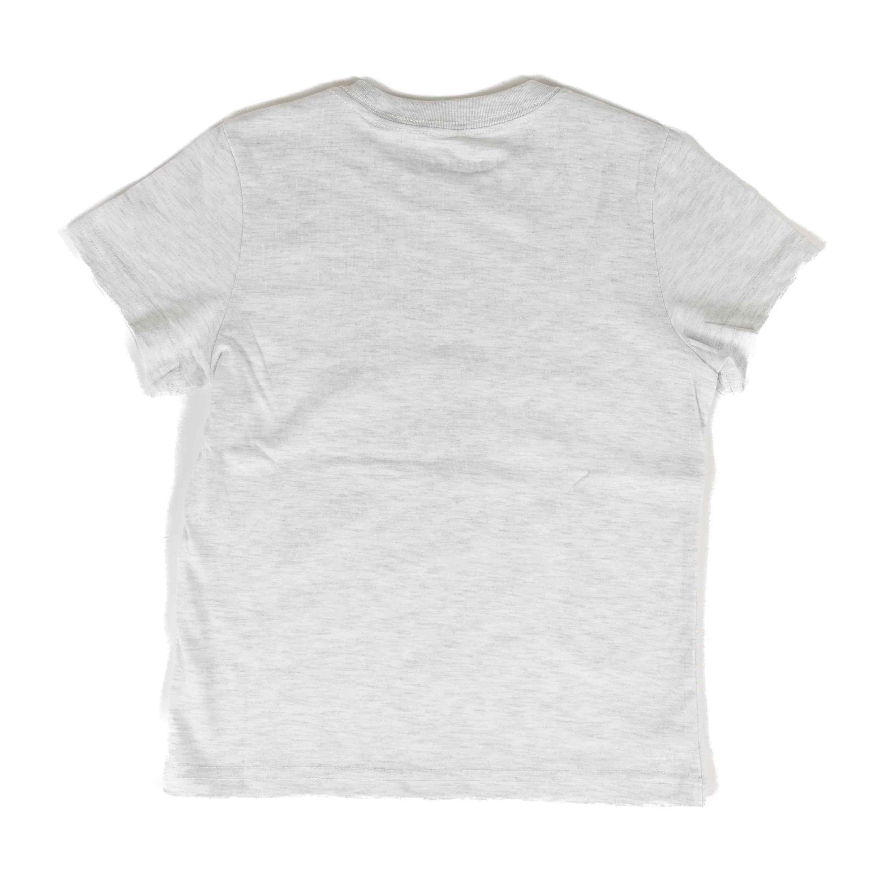 Men's Burlebo Ash Gray Fly Wild Short Sleeve Tee SST-FLW-AG