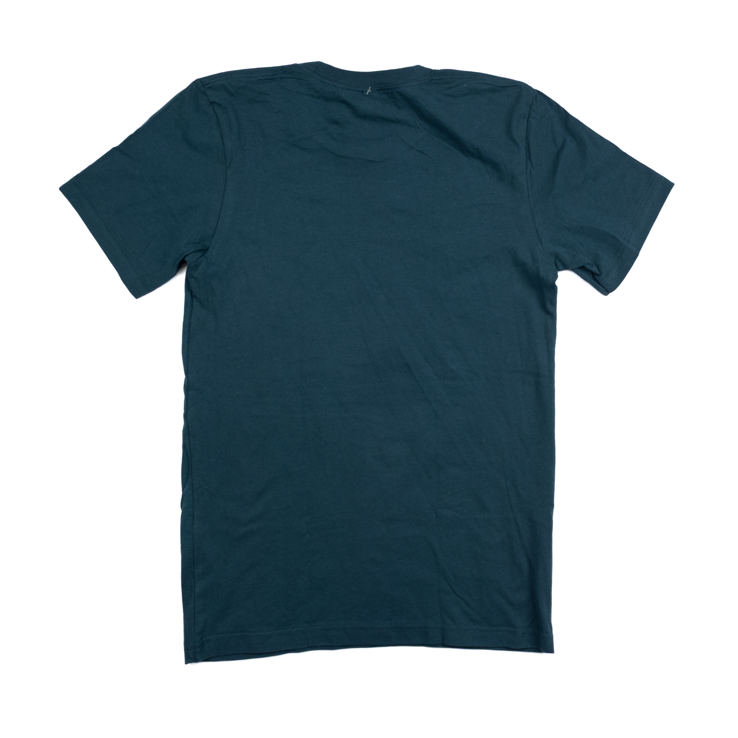 Women's Teal Leopard Bronc T-shirt