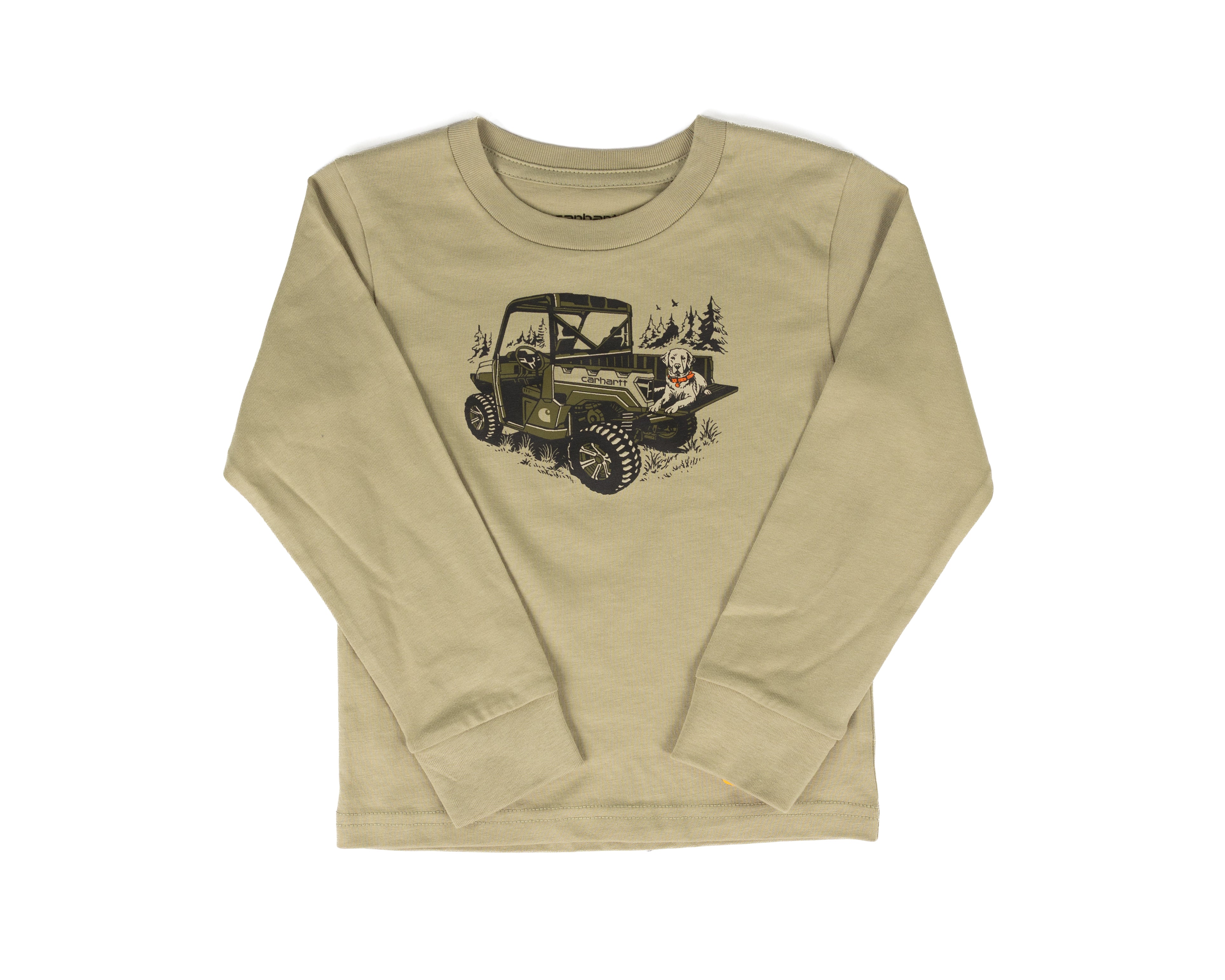 Carhartt Boy's Green Long Sleeve Graphic Printed T-shirt (3M-24M) CA6871GR9