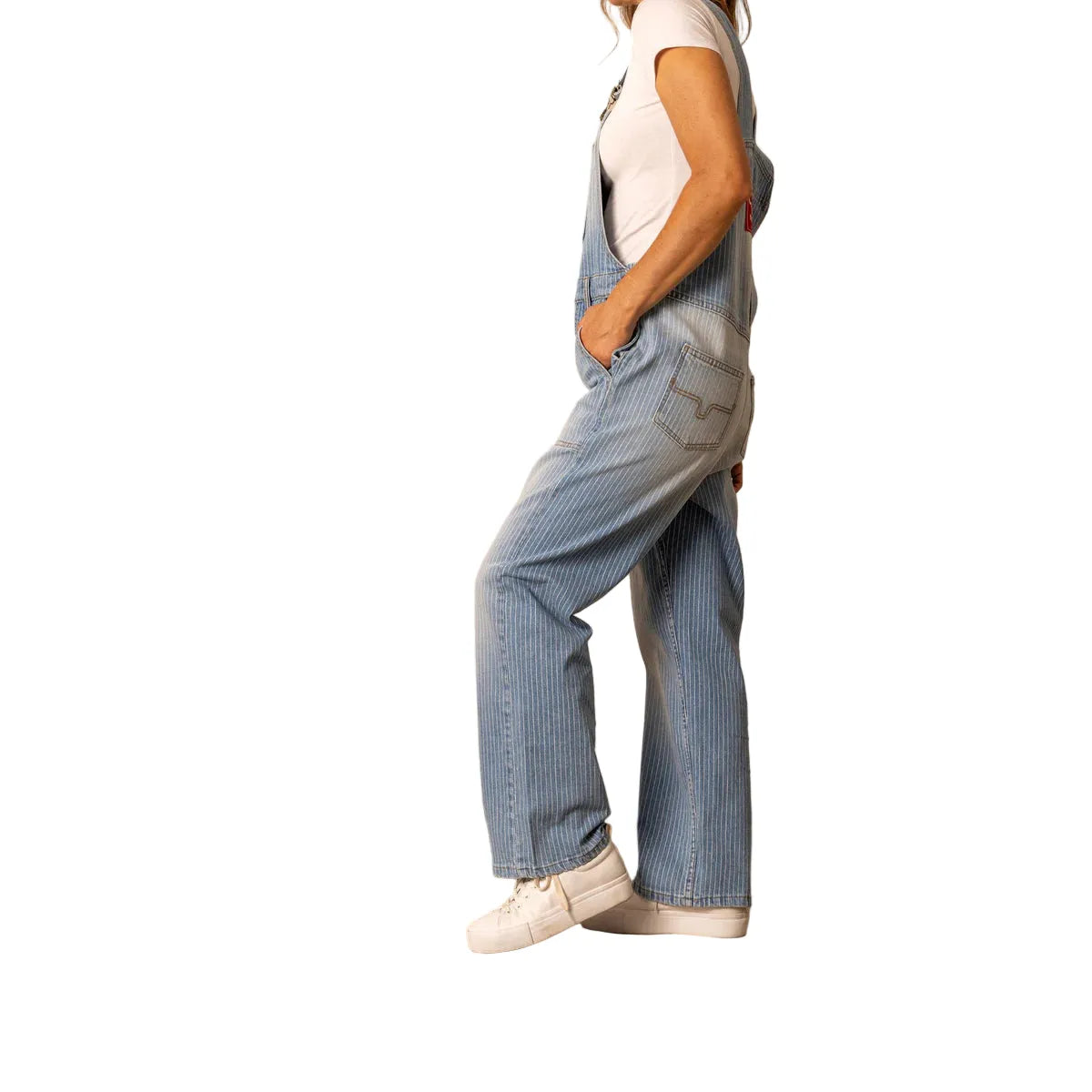 Women's Kimes Ranch Striped Denim Overalls