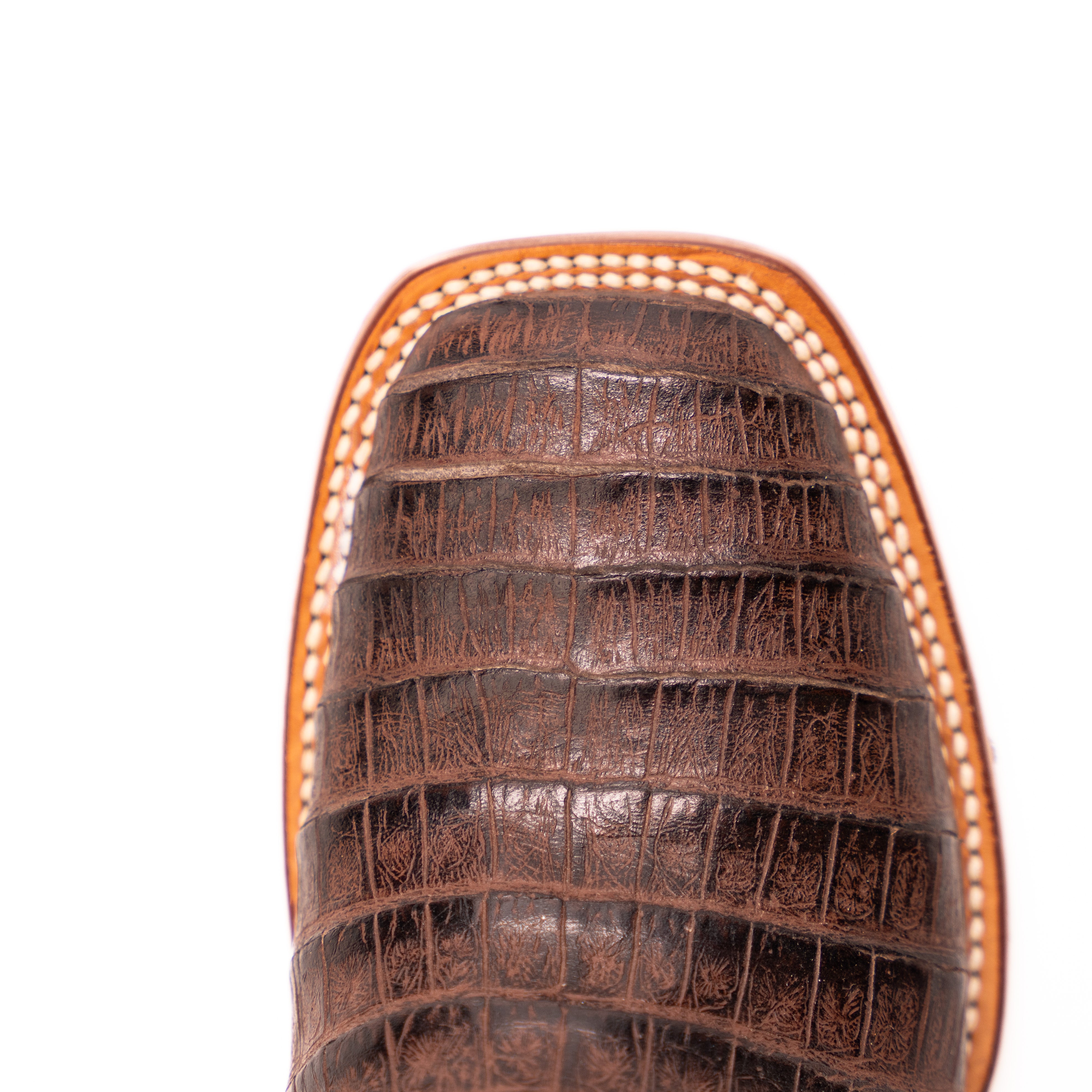 Women's Tanner Mark 12" Caiman Print Boots TML207104 - Crazy House Western Wear