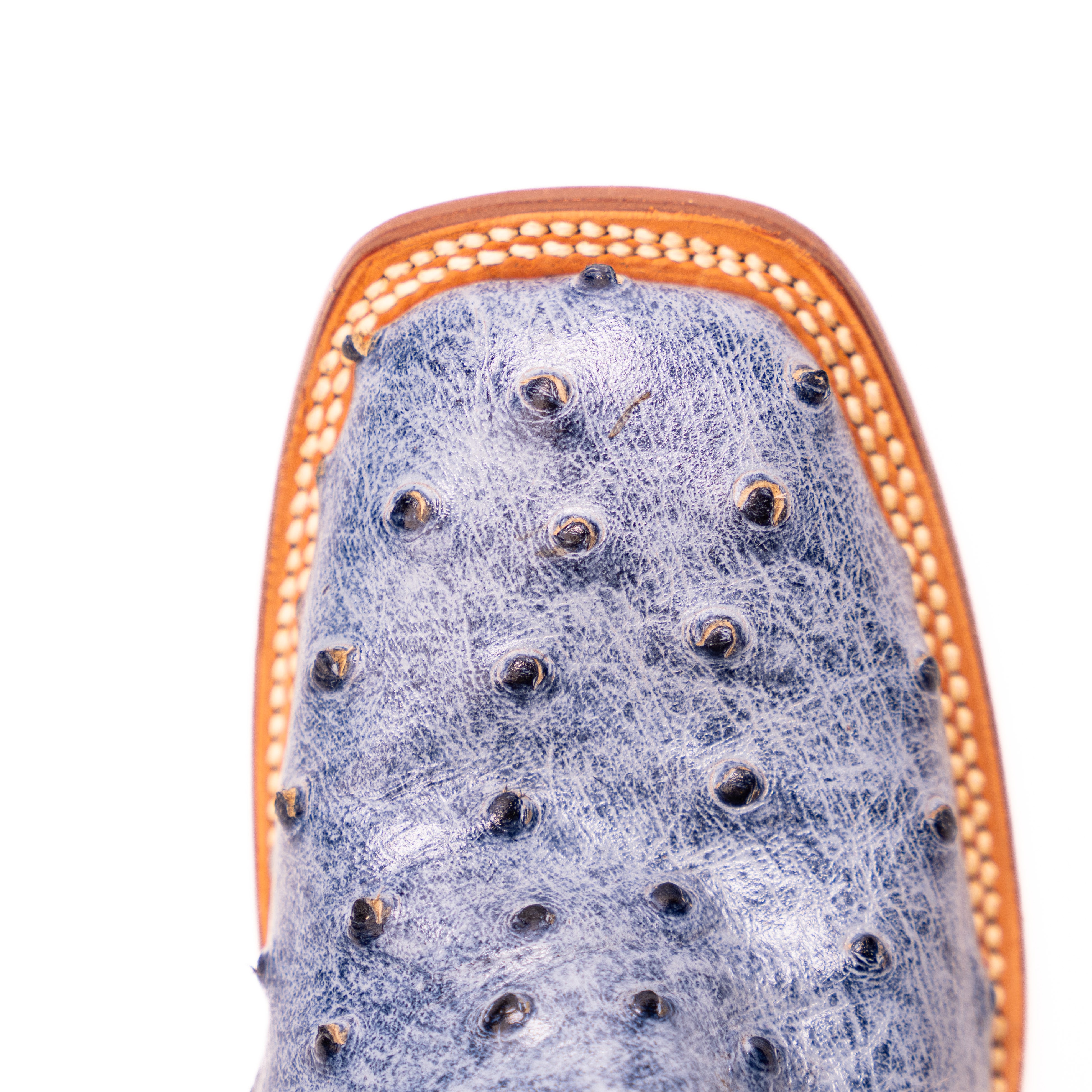 Women's Tanner Mark 12" Ostrich Print Boots TML207061 - Crazy House Western Wear