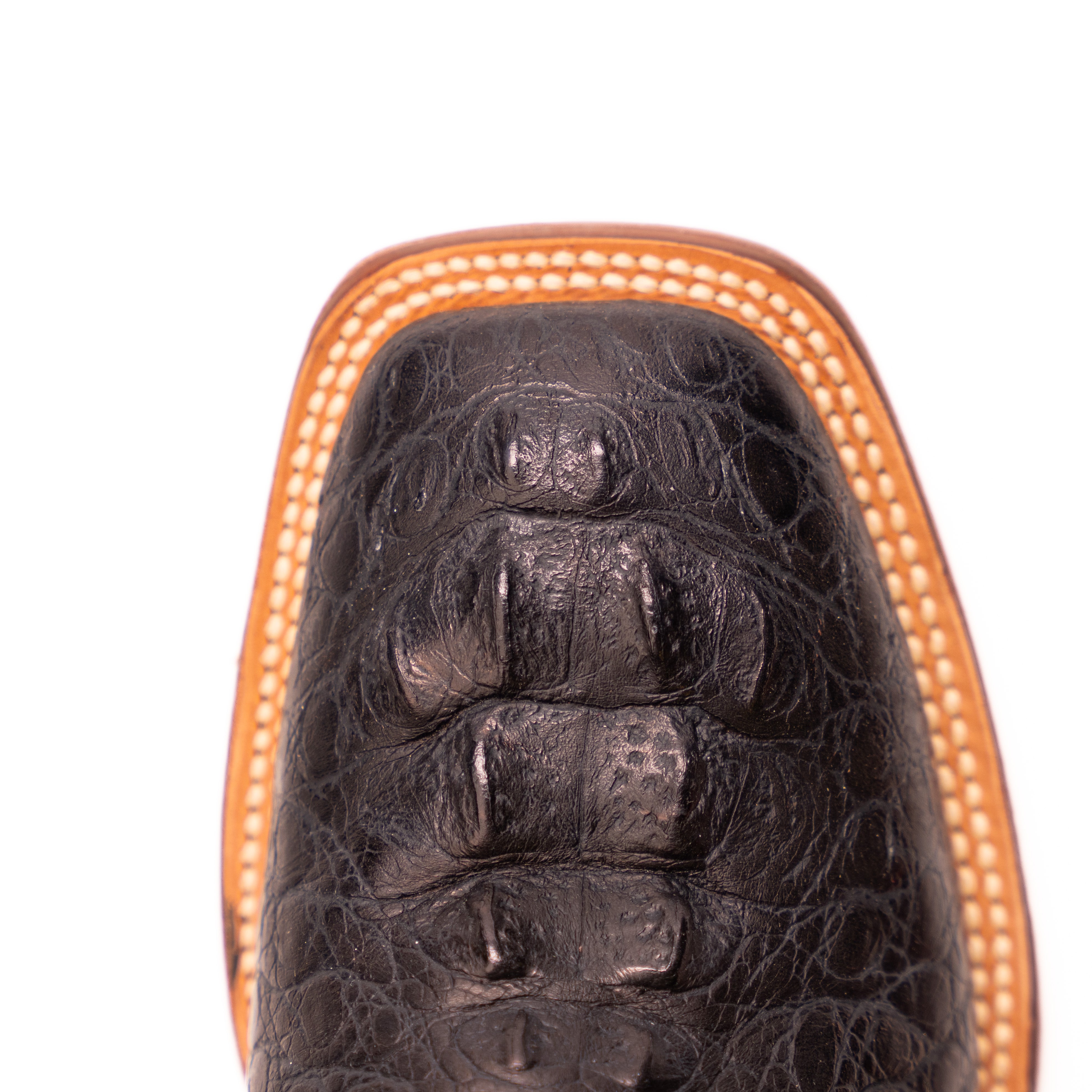 Women's Tanner Mark 12" Caiman Print Boots TML207075 - Crazy House Western Wear