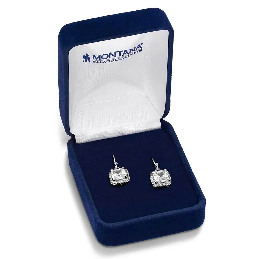 Women's Montana Silversmiths Sparkling Delight Earrings ER6189