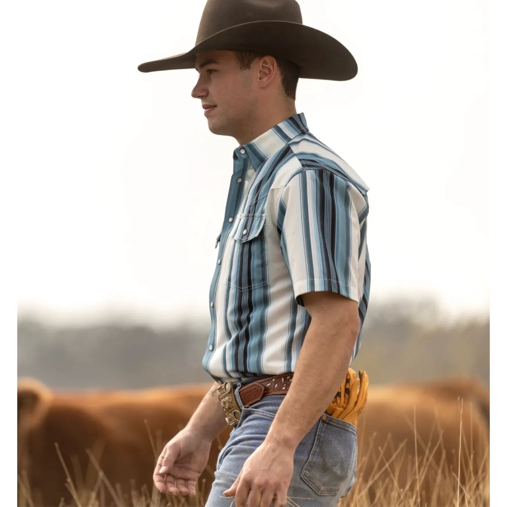 Men's Ferrell Short Sleeve "The Harrison" In Blue Snap Shirt FPS1026038