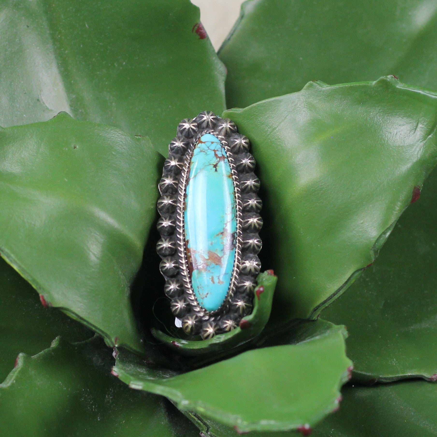 Women's Augustine Largo Kingman Turquoise Ring - Crazy House Western Wear
