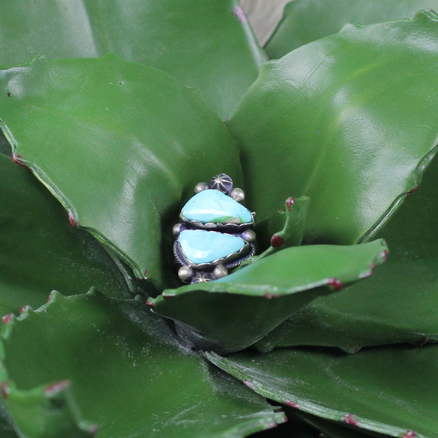 Women's Sonoran Gold Turquoise Ring Sz. 8 - Crazy House Western Wear