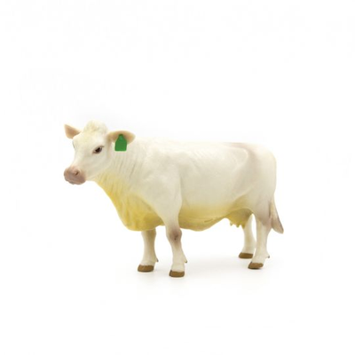 White Cow on white background