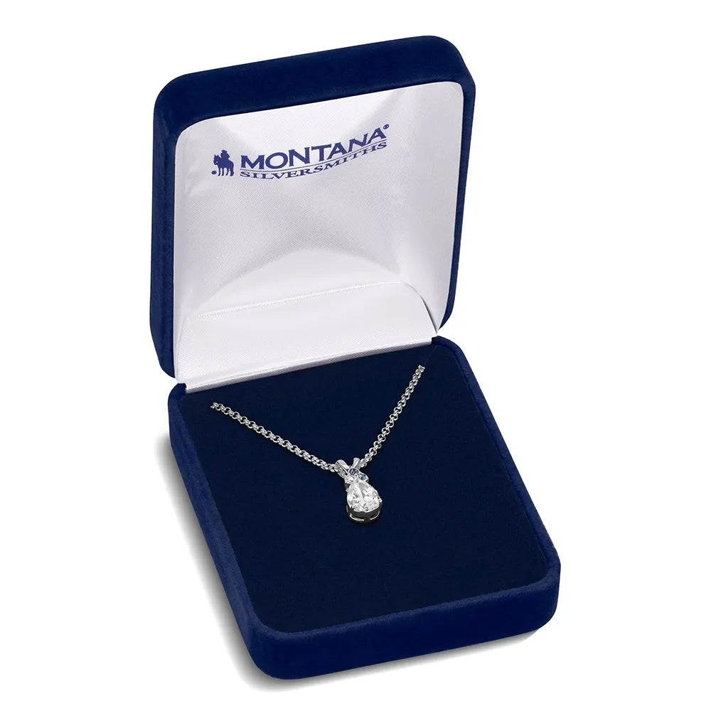 Montana Silversmiths Women's Bitterroot Teardrop Necklace NC6632