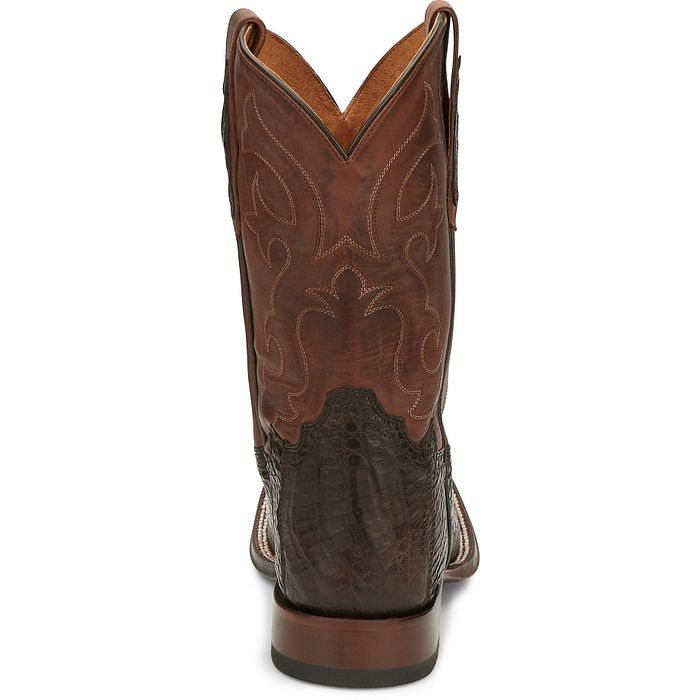 Men's Tony Lama Canyon 11" Caiman Belly Tail TL5251 - Crazy House Western Wear
