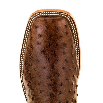 Anderson Bean Chocolate Full Quill Ostrich with 13" Teal Fainting Goat Top S3004 - Crazy House Western Wear