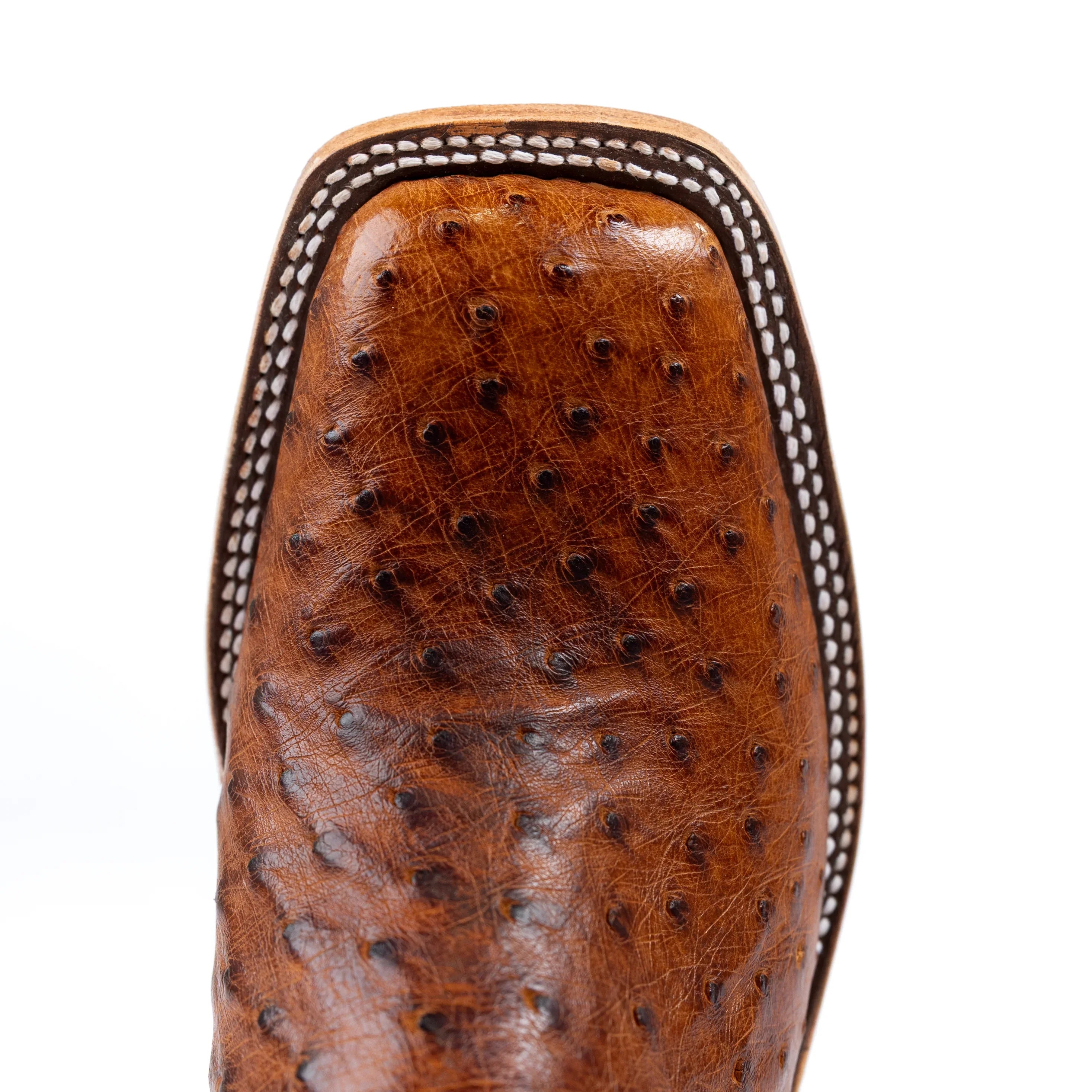 Anderson Bean Cognac Full Quill Ostrich with 13" Bone Glove Top
