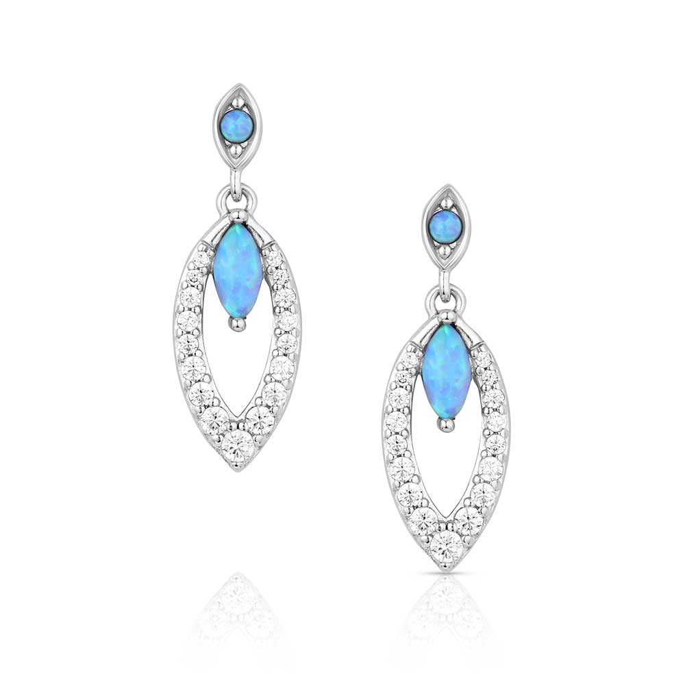 Women's Montana Silversmiths Dancing In The Rain Earrings ER6220