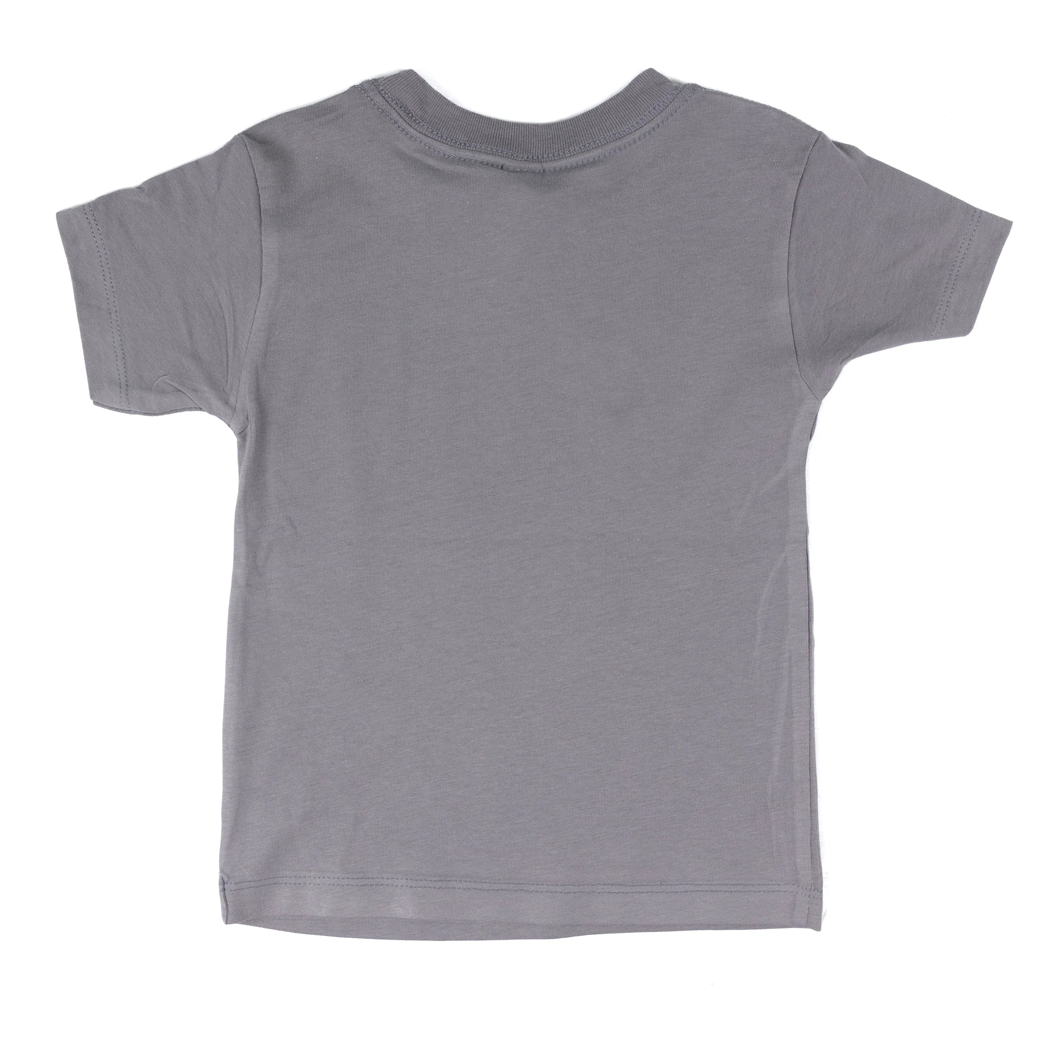 Girl's Youth Gray 250 Years of Liberty T-shirt