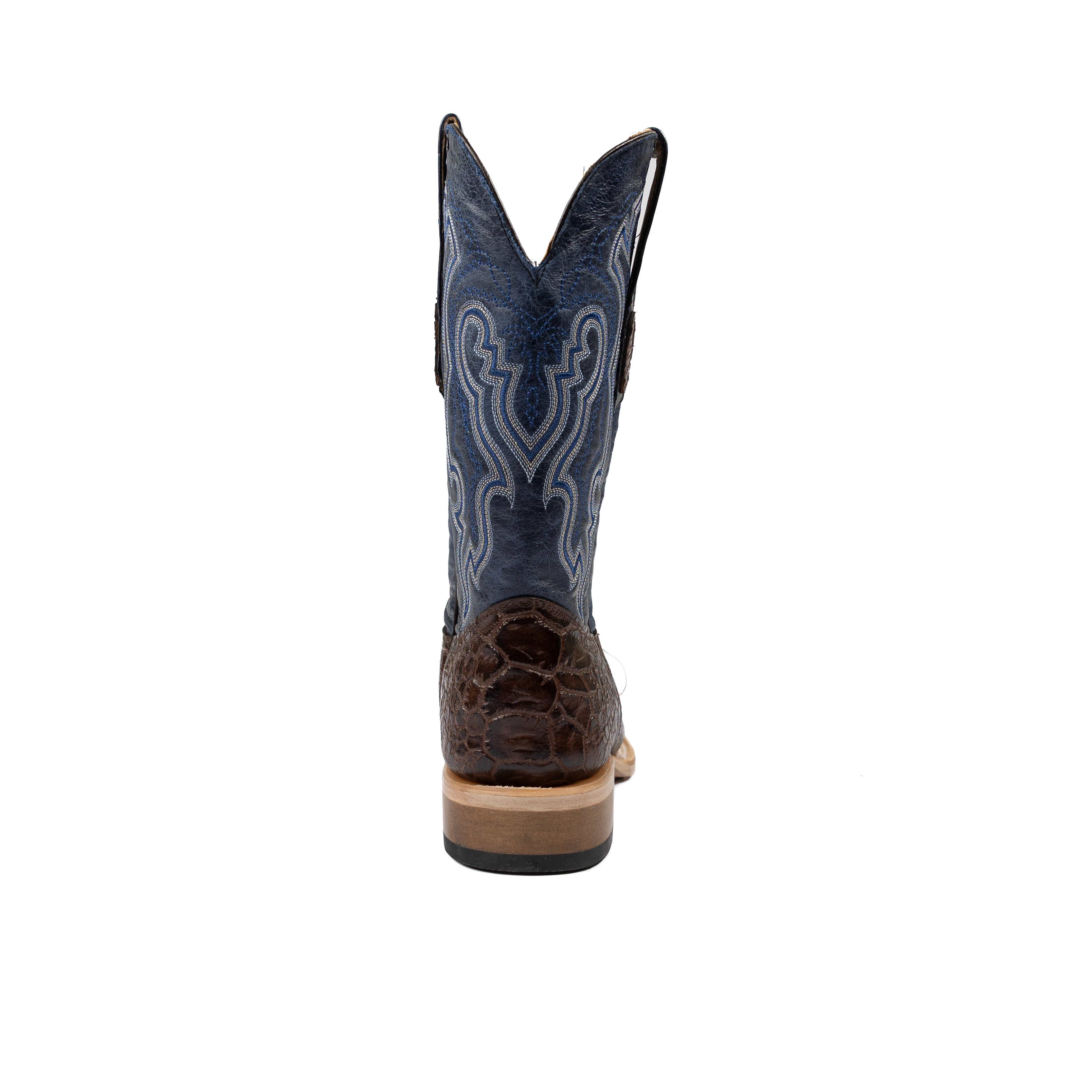 Men's Cowtown Sea Turtle Print Boots Q6044