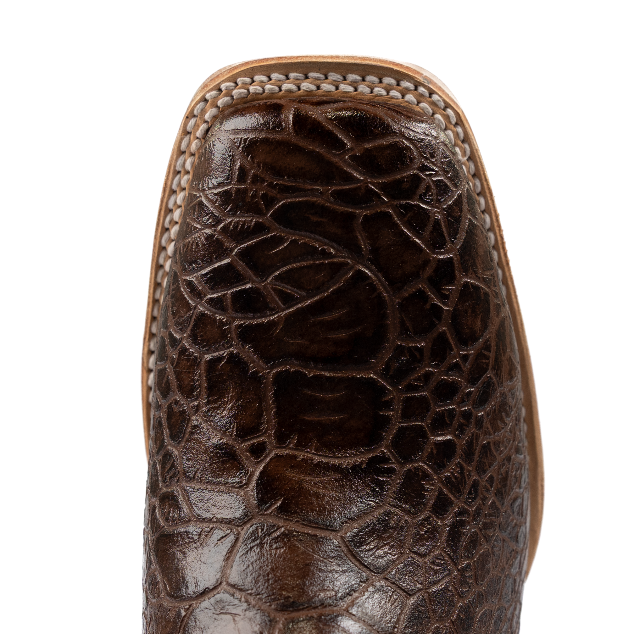 Men's Cowtown Sea Turtle Print Boots Q6044