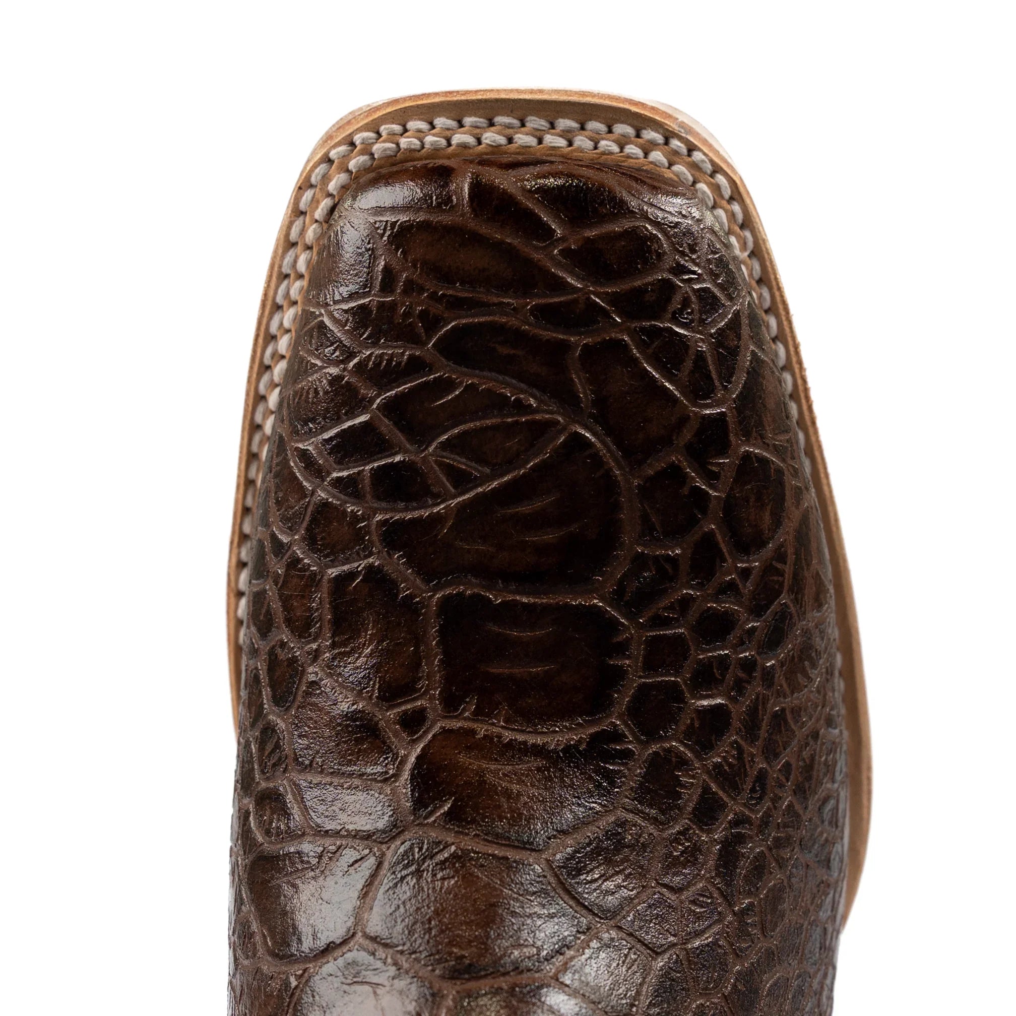 Men's Cowtown Sea Turtle Print Boots Q6044