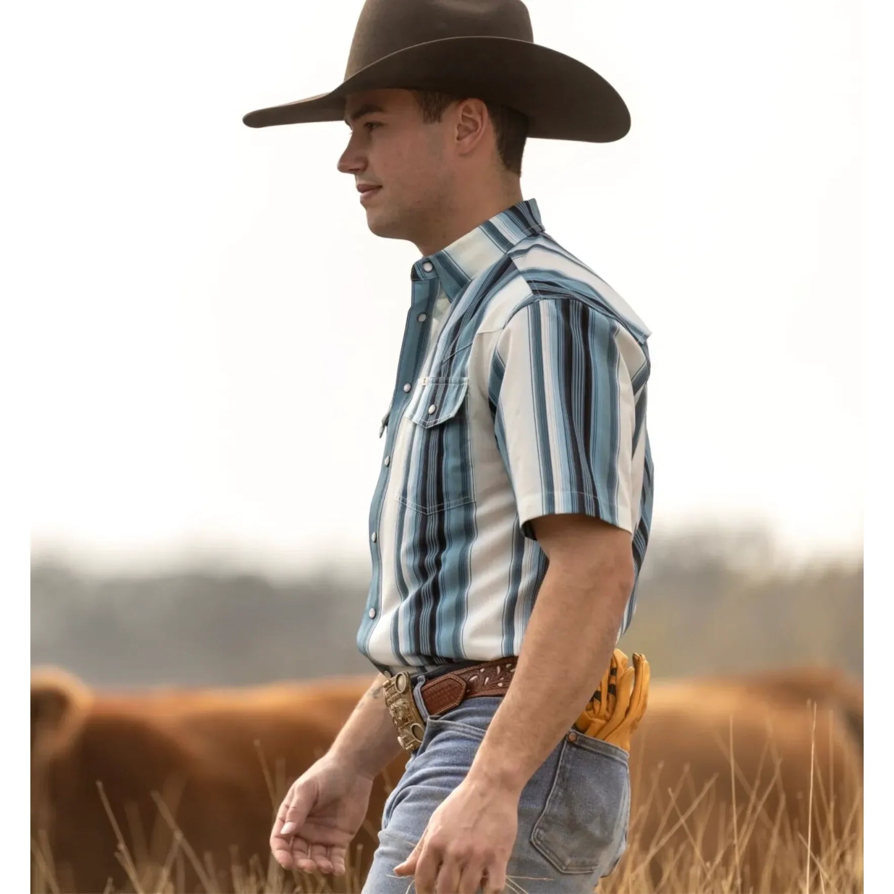 Men's Ferrell Short Sleeve "The Harrison" In Blue Snap Shirt FPS1026038