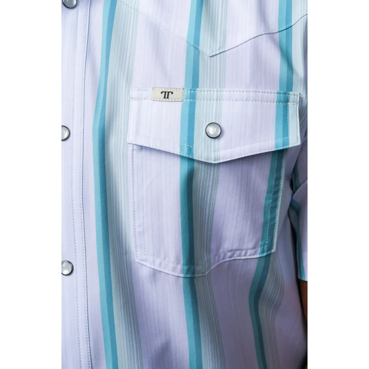 Men's Ferrell Short Sleeve The Tristan in Gray/Green Striped Pearl Snap Shirt FPS1026116