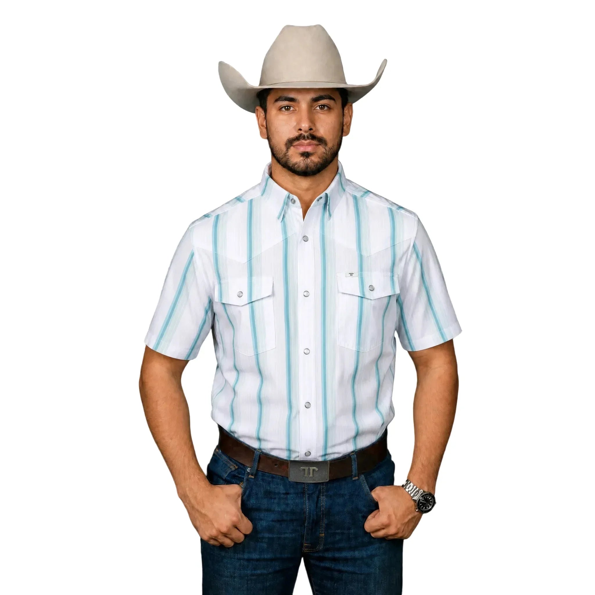 Men's Ferrell Short Sleeve The Tristan in Gray/Green Striped Pearl Snap Shirt FPS1026116