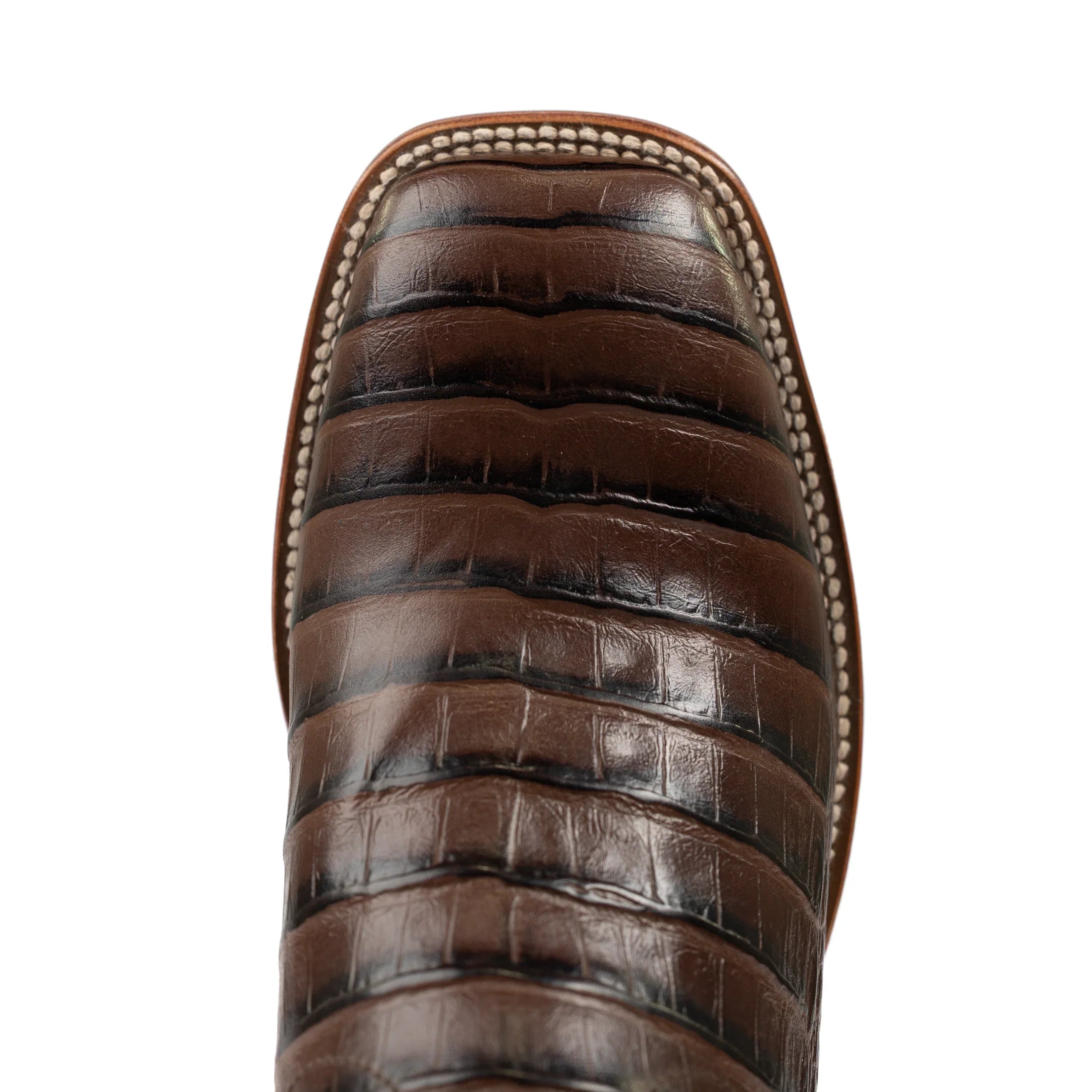 Men's Horse Power Chocolate Caiman Print with 13" Emerald Explosion Top HP1880