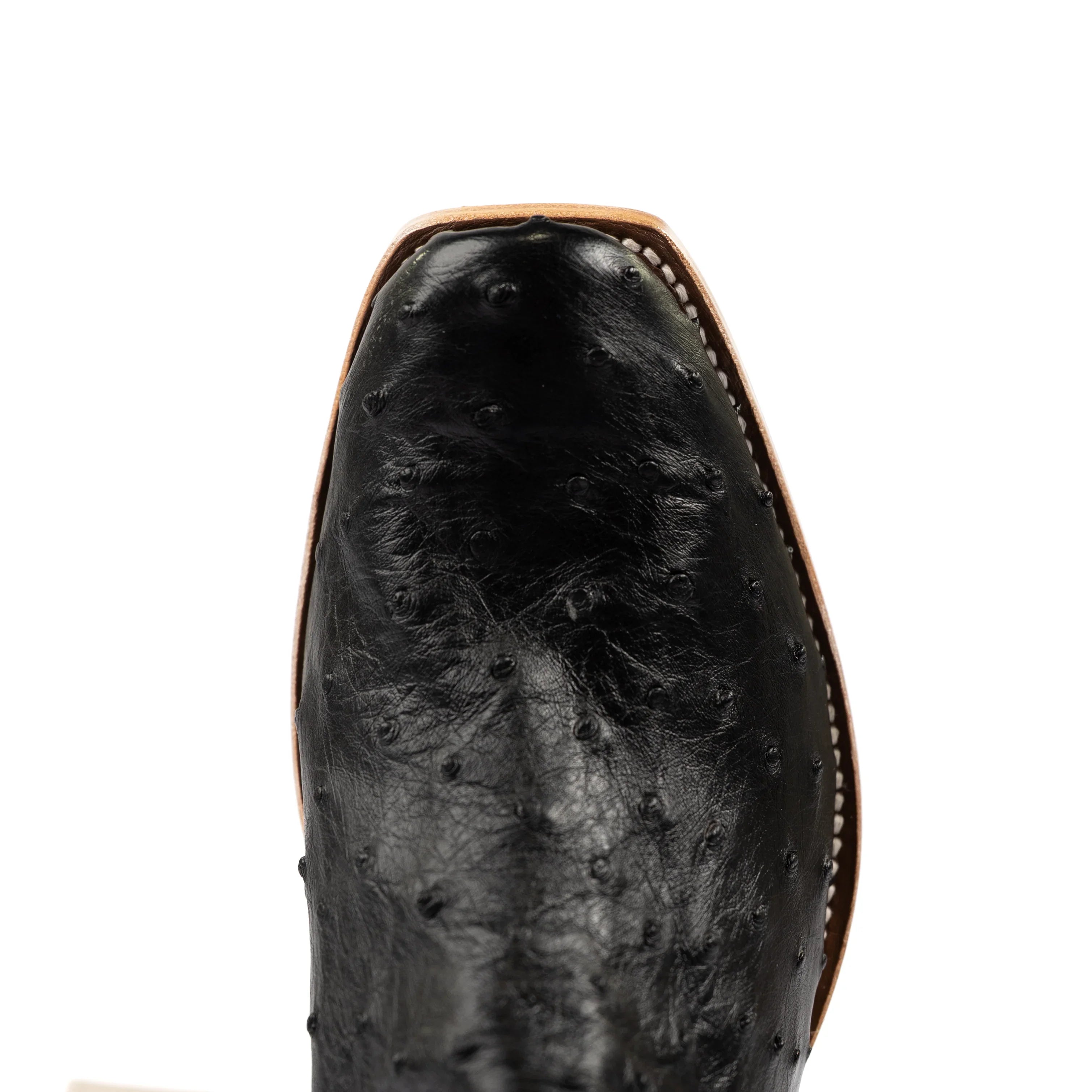 Men's Horse Power Top Hand Black Full Quill Ostrich with 13" Azure New Orleans Tops HP9533