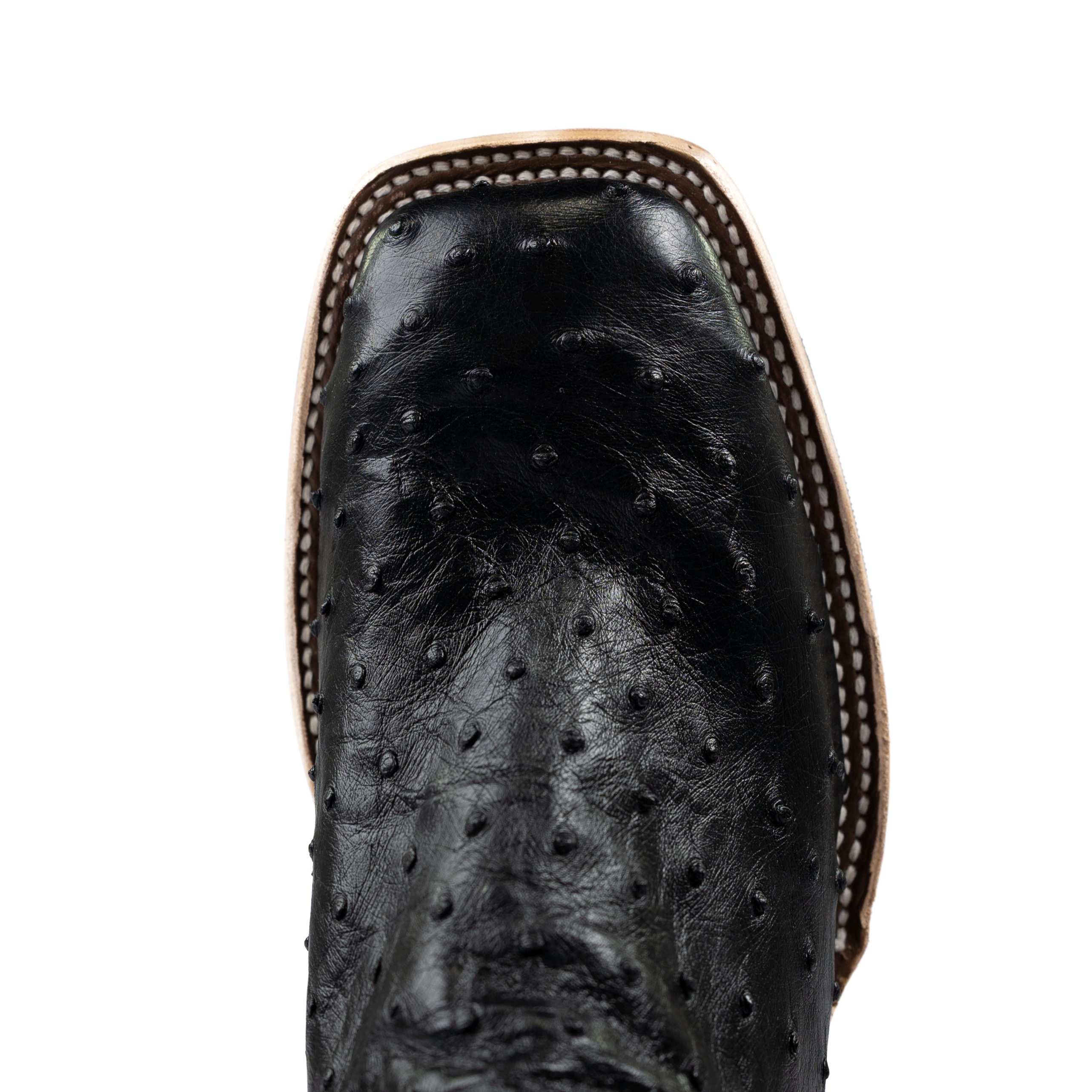 Men's Horse Power Top Hand Black Full Quill Ostrich with 13" Emerald Explosion Top HP8004