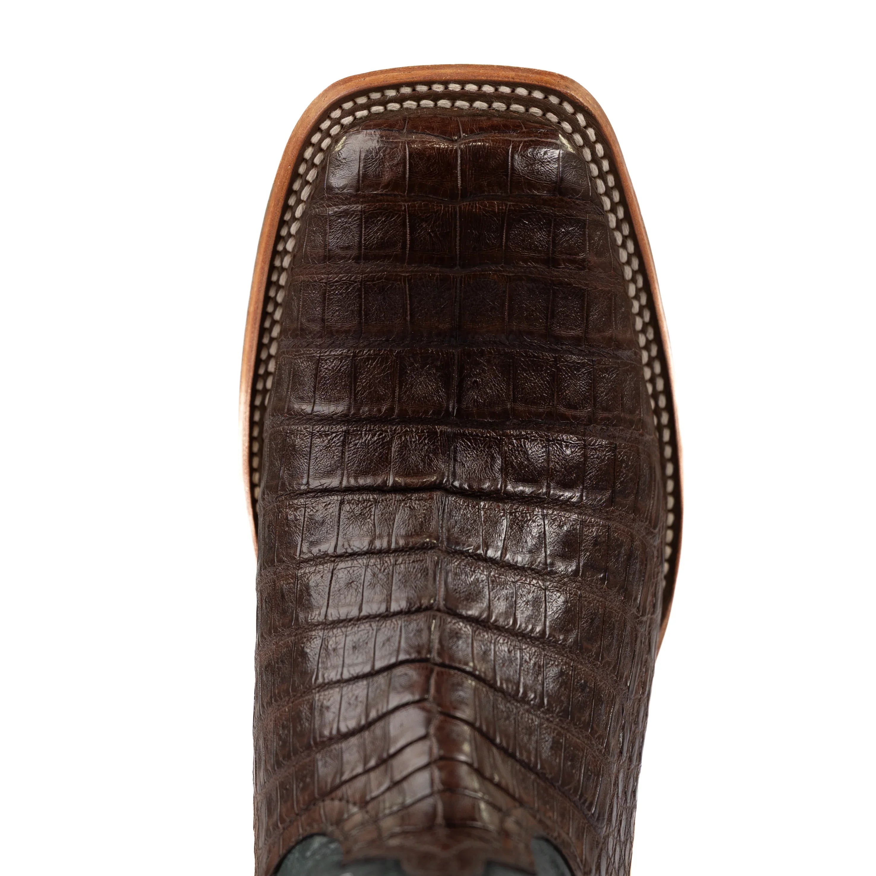 Men's Horse Power Top Hand Chocolate Caiman Belly with 13" Navy Explosion Top HP8065