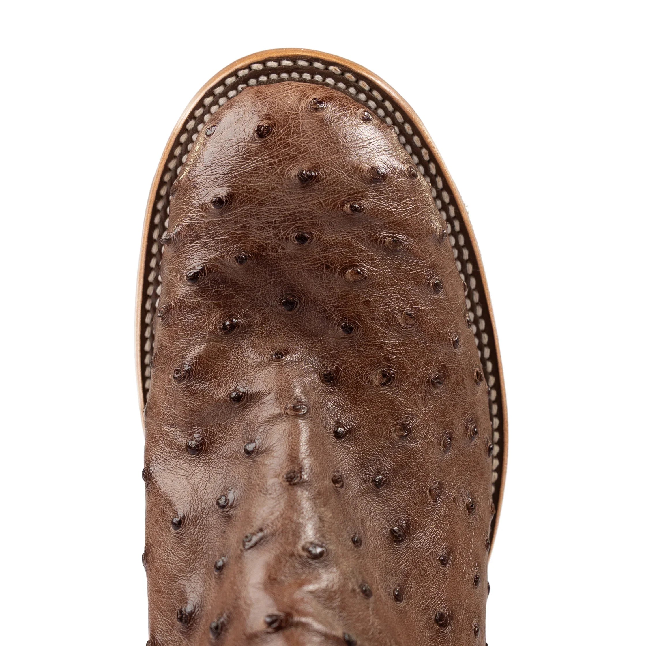 Men's Horse Power Top Hand Kango Tobacco Full Quill Ostrich with 11" Red New Orleans Top HP6017