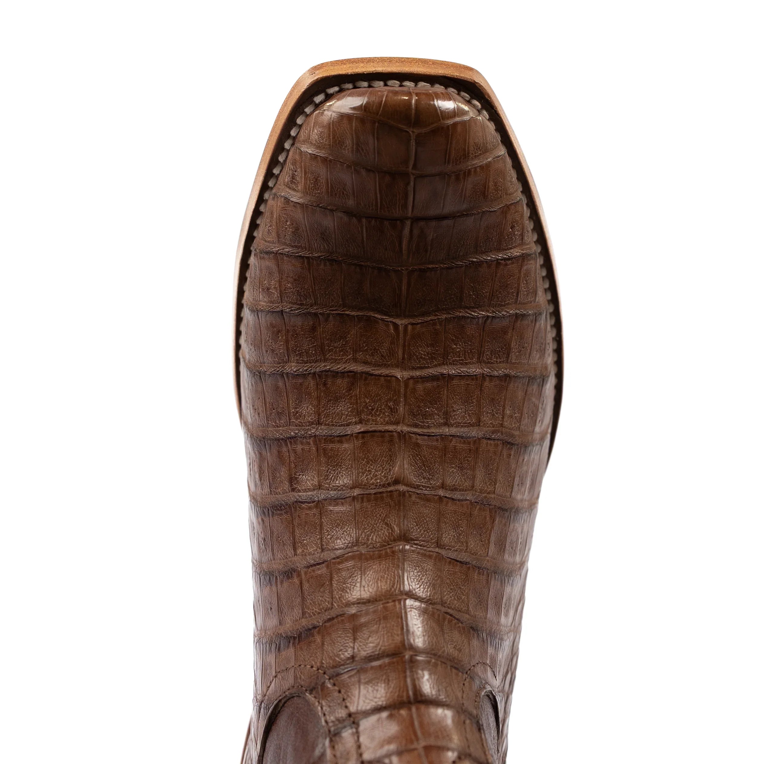 Men's Horse Power Top Hand Post Oak Caiman Belly with 13" Bone Explosion Top HP9511