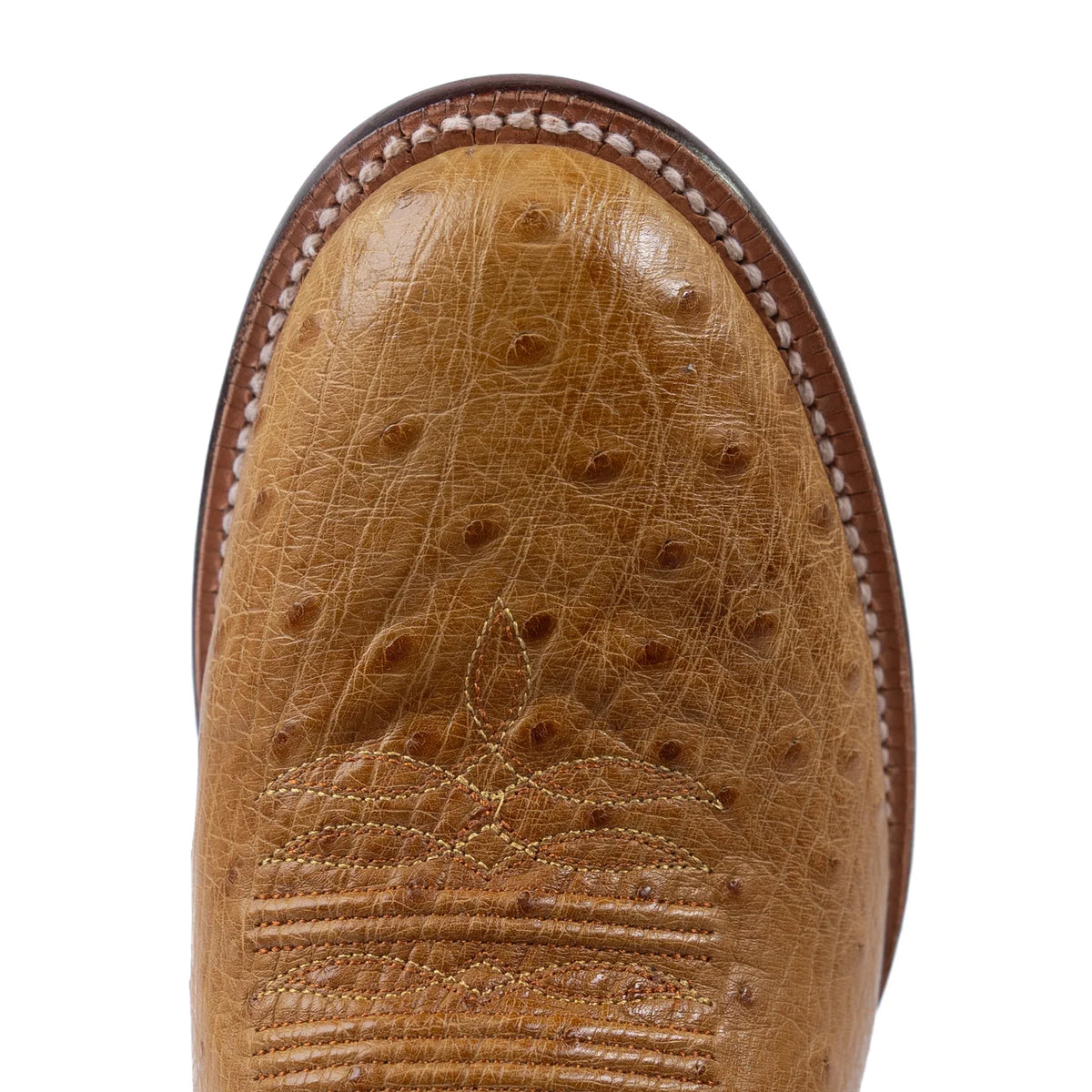 Men's R. Watson Smooth Ostrich Super Roper with 13″ Cowhide Top RW5533