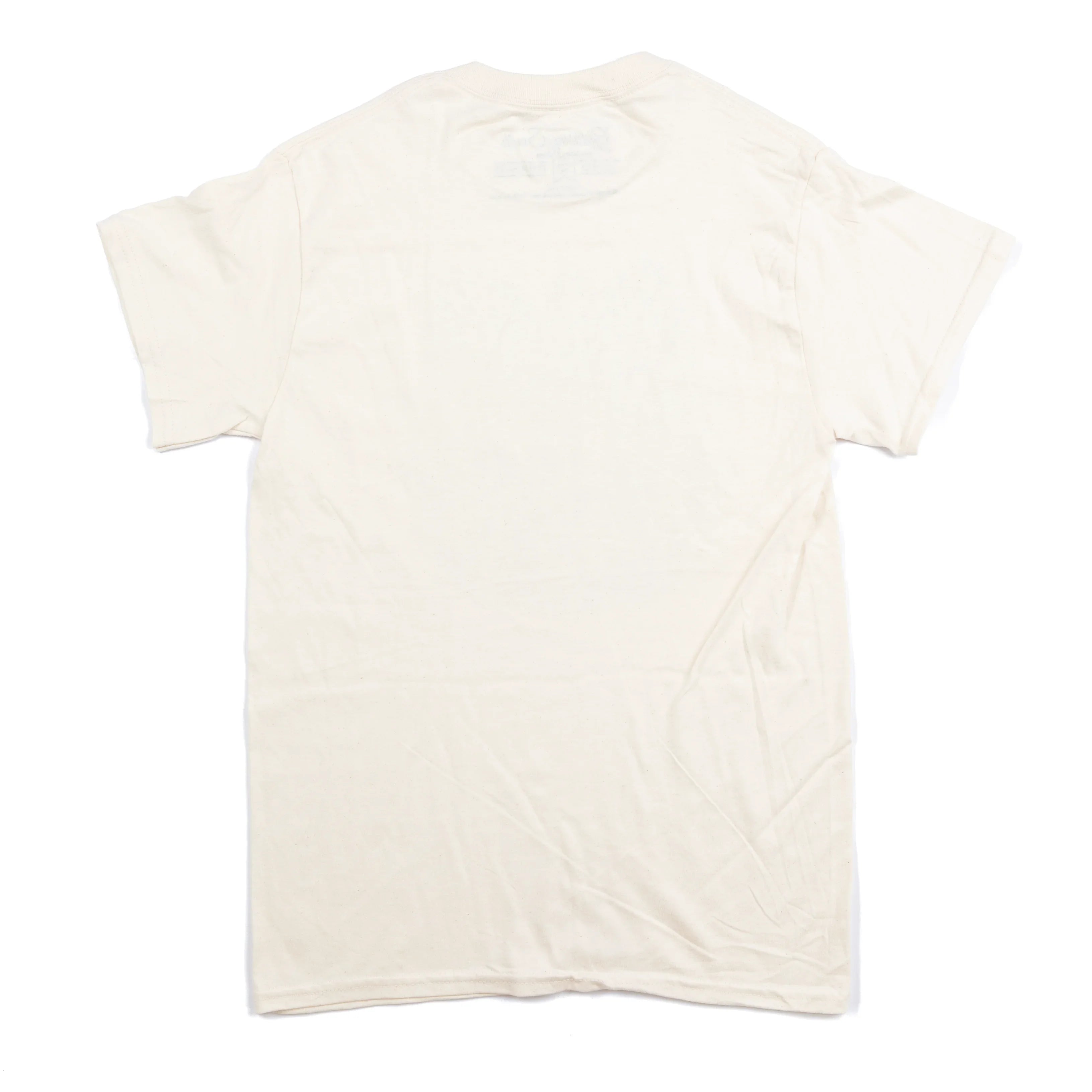 Women's Beige Dot Bow Pumpkin T-shirt
