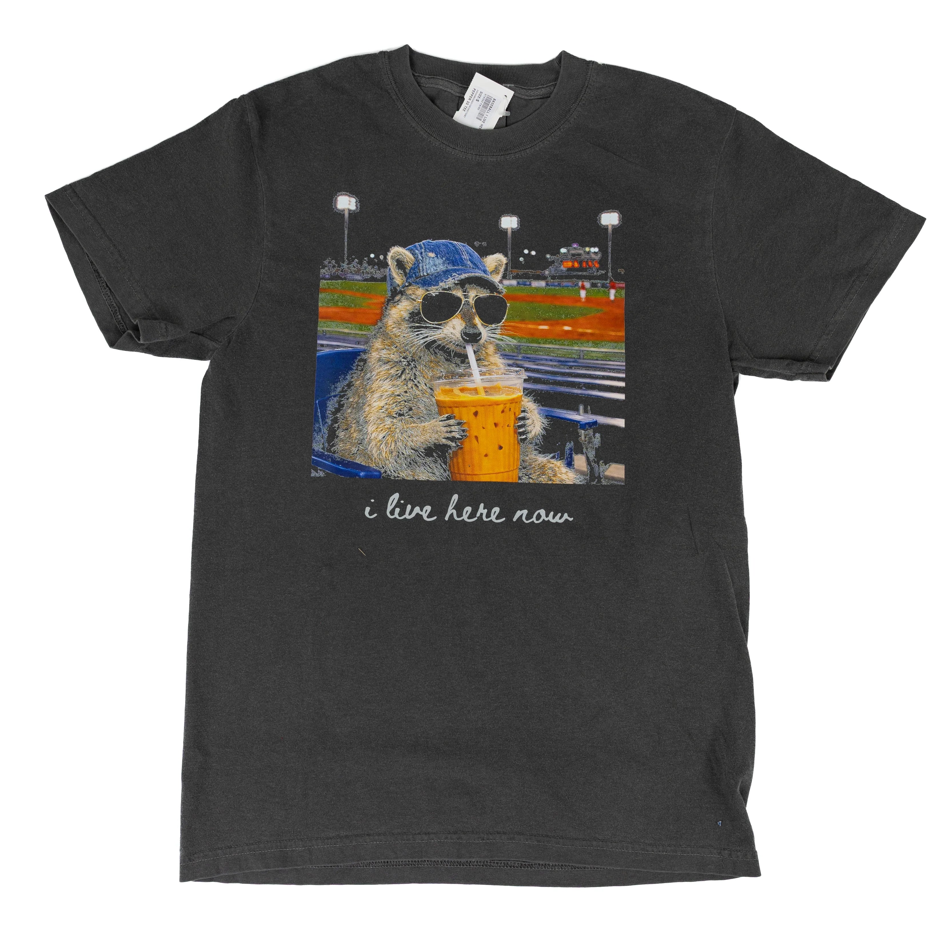 Women's Charcoal Gray Short Sleeve "Baseball I Live Here Now" T-shirt