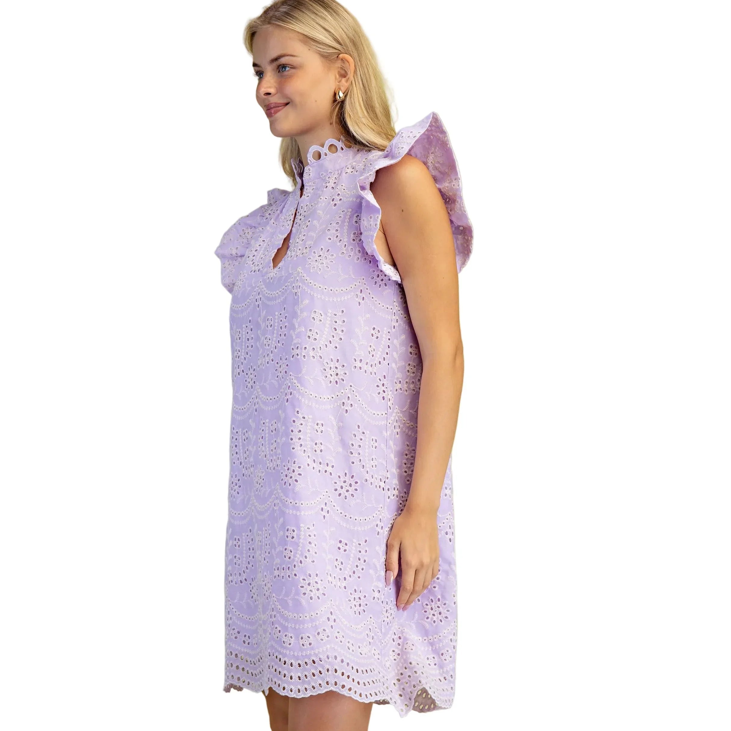 Women's Lilac Eyelet V-Neck Mini Dress TE1649