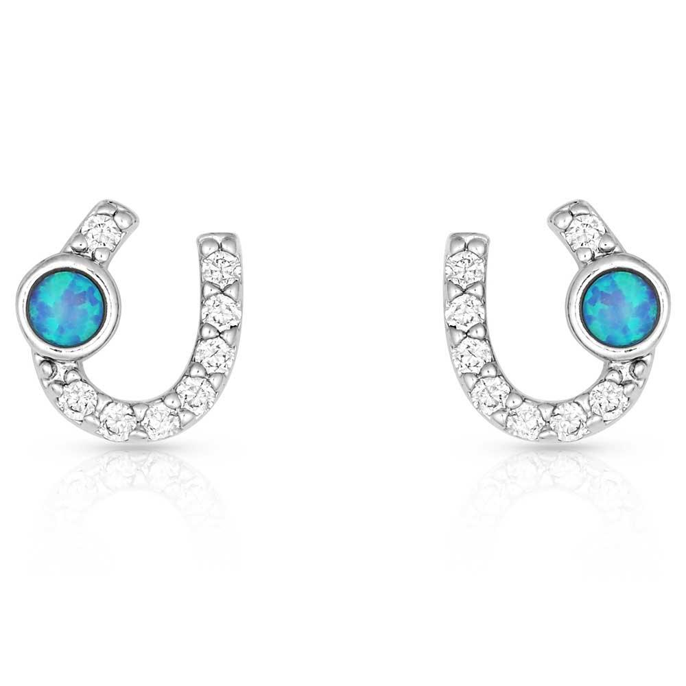 Women's Montana Silversmiths Lightfoot Horseshoe Earrings ER3394