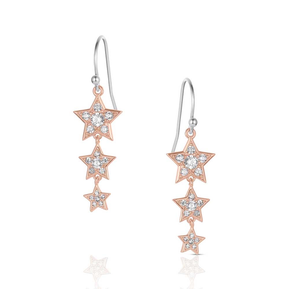 Women's Montana Silversmiths Trio of Wishes Earrings ER6311