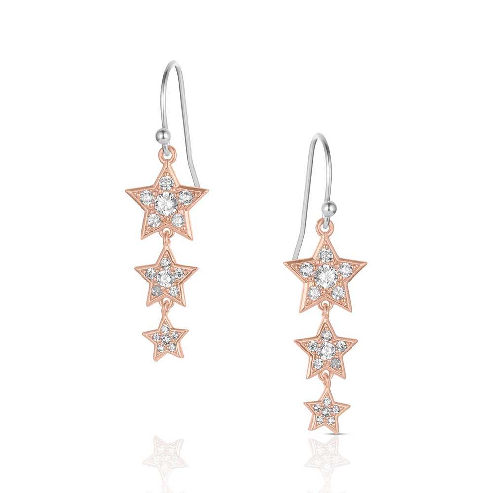 Women's Montana Silversmiths Trio of Wishes Earrings ER6311