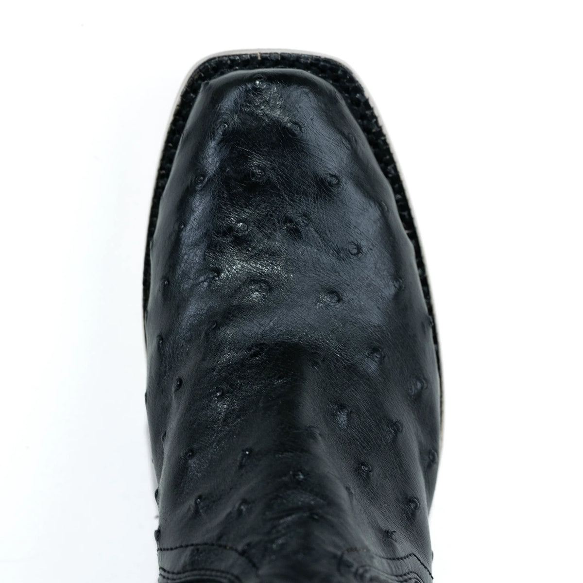 Women's R. Watson Black Full Quill Ostrich Boots RWL4312-1 - Crazy House Western Wear