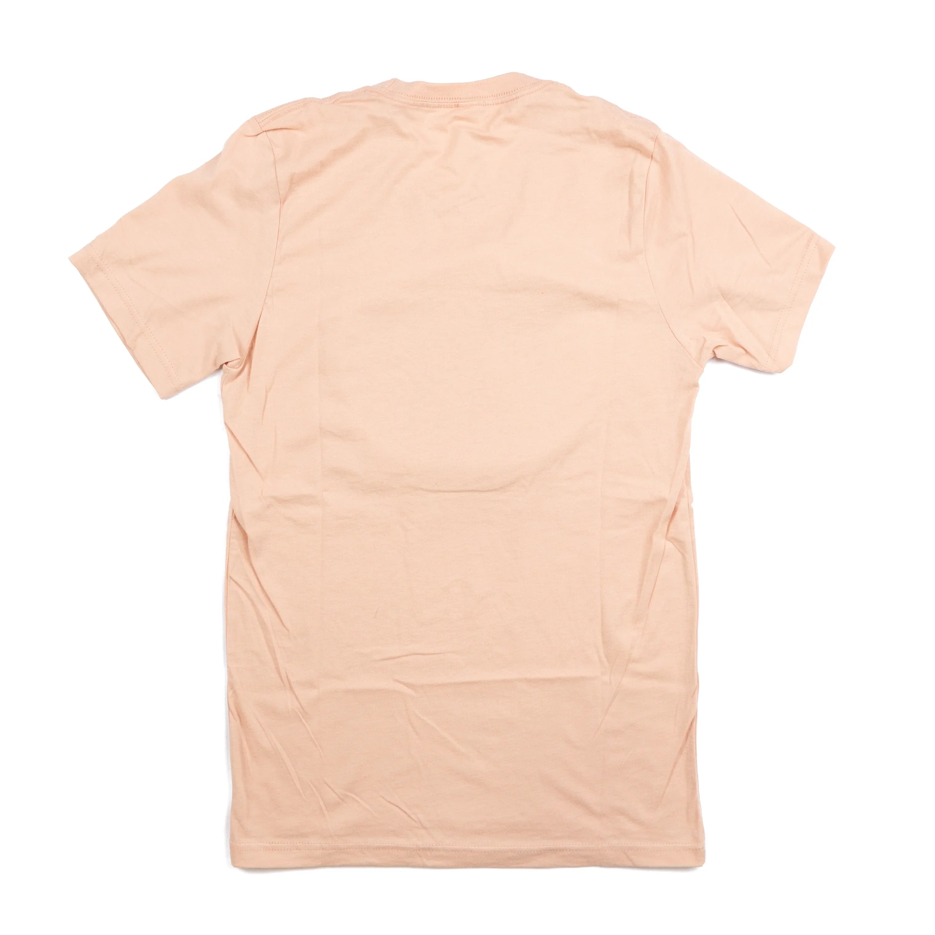 Women's Short Sleeve Blush Pumpkin T-shirt