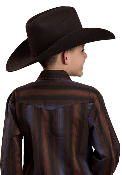 Boy's Roper Long Sleeve Yarn Dyed Stripe Snap Shirt 01-030-0044-1084
