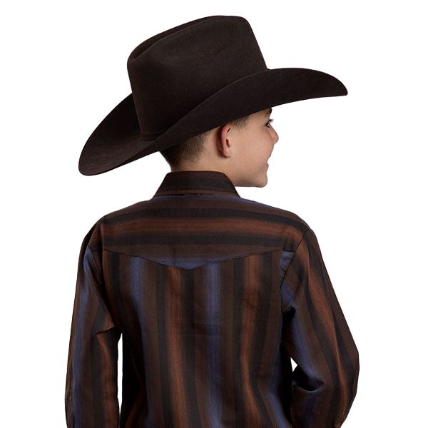 Boy's Roper Long Sleeve Yarn Dyed Stripe Snap Shirt 01-030-0044-1084
