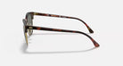 Ray-Ban Brown Tortoise Clubmaster Sunglasses RB3016-990/58